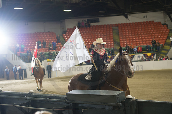 NABC8_10132016_SCL_7031