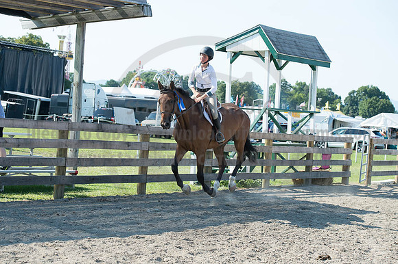 2016DCF_08262016_SCL_0880