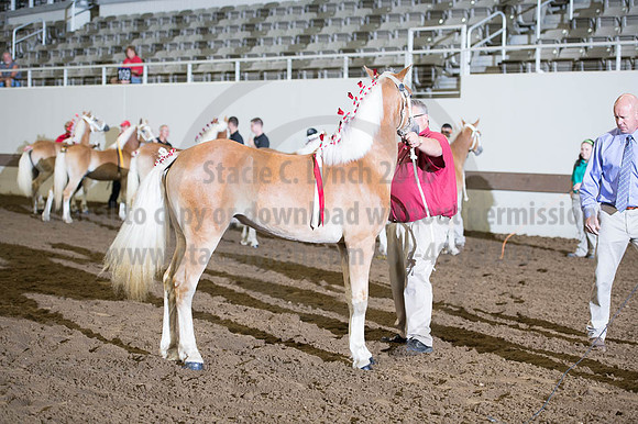 ISF_08192016_SCL_3920