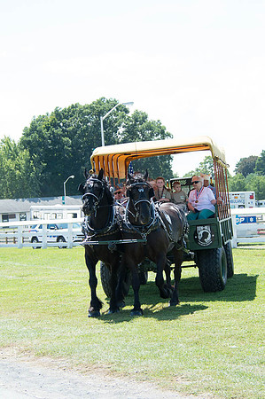 2016DCF_08262016_SCL_0591