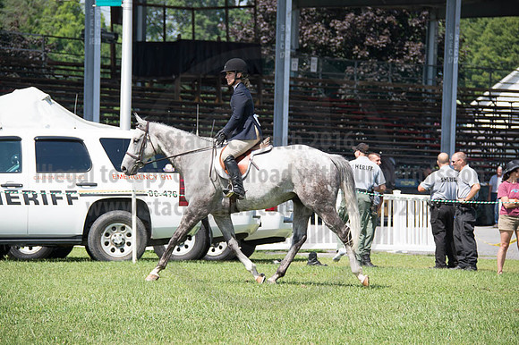 2016DCF_08262016_SCL_0462