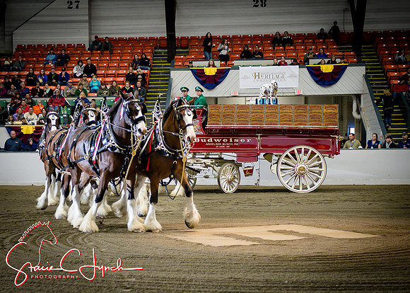 BIGE_10012016_SCL_5307