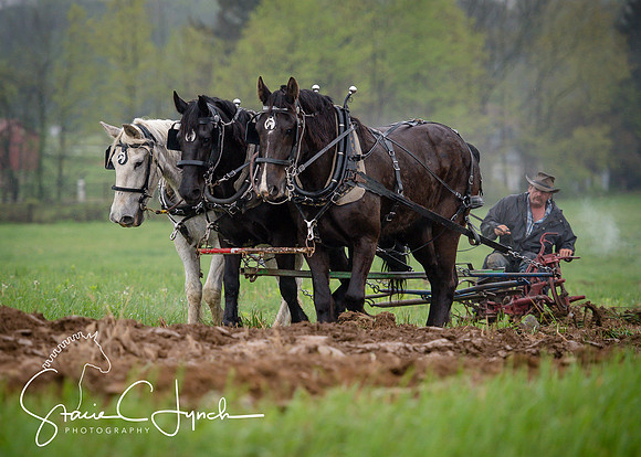 OHIO_2017_Spring_SCL_4209