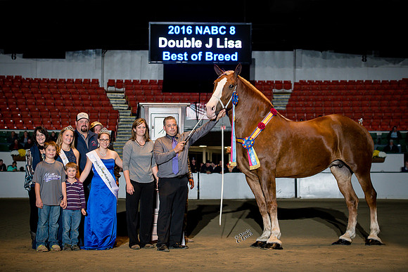 NABC8_10132016_SCL_7000
