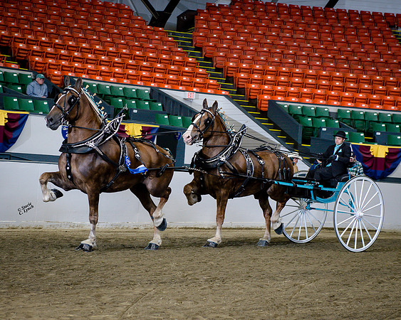 NABC8_10142016_SCL_8092_Final