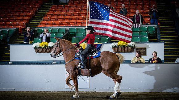 NABC8_10112016_SCL1499