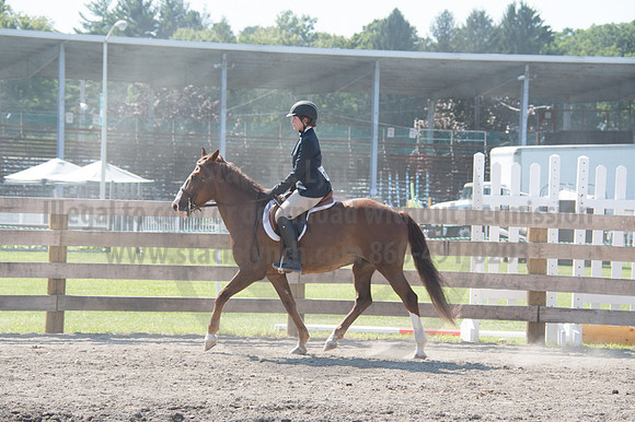 2016DCF_08242016_SCL_9278