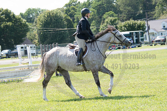 2016DCF_08262016_SCL_0691