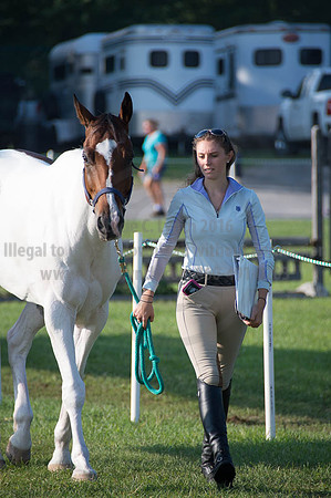 2016DCF_08262016_SCL_0086