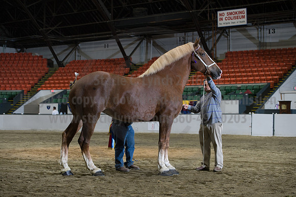 NABC8_10152016_SCL_1856