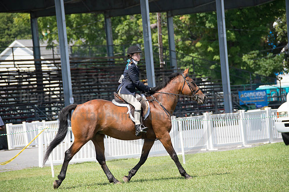 2016DCF_08262016_SCL_0494