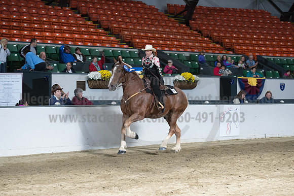 NABC8_10142016_SCL_8398