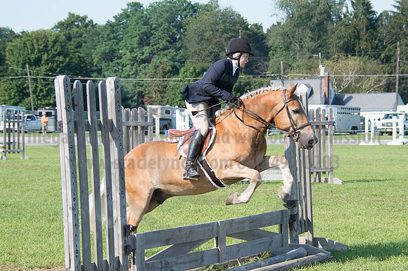 2016DCF_08262016_SCL_0204