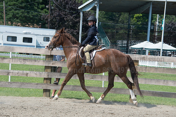 2016DCF_08242016_SCL_8776