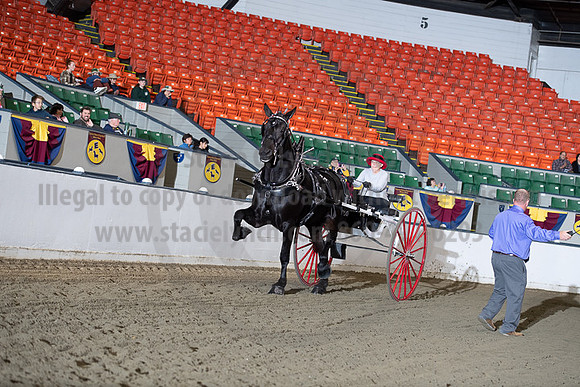 BigE_20221002-SCL_4444