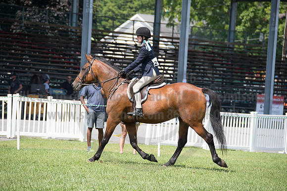 2016DCF_08262016_SCL_0478