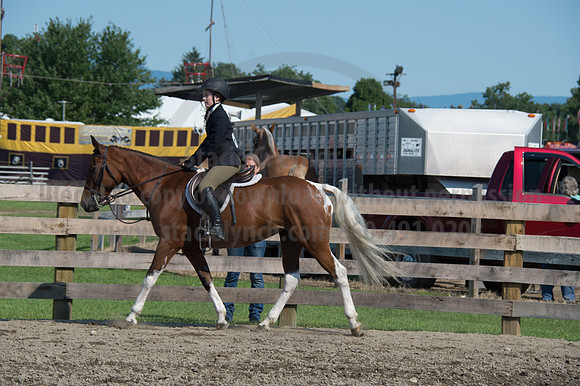 2016DCF_08242016_SCL_8595