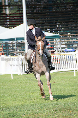 2016DCF_08242016_SCL_8545