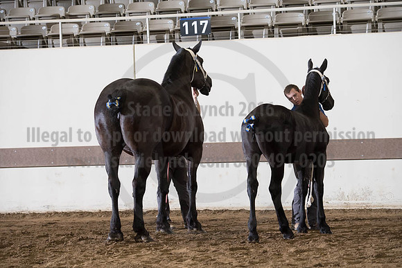 ISF_08142017_SCL_4502