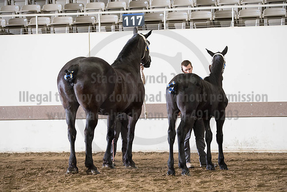 ISF_08142017_SCL_4503