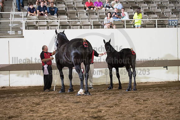ISF_08142017_SCL_4505