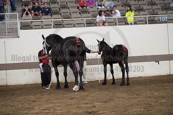 ISF_08142017_SCL_4506