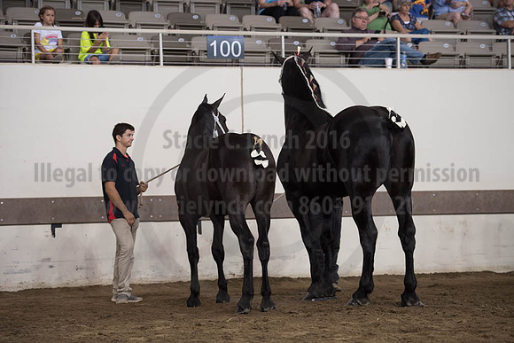 ISF_08142017_SCL_4516