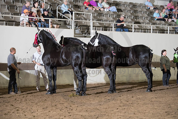 ISF_08142017_SCL_4537