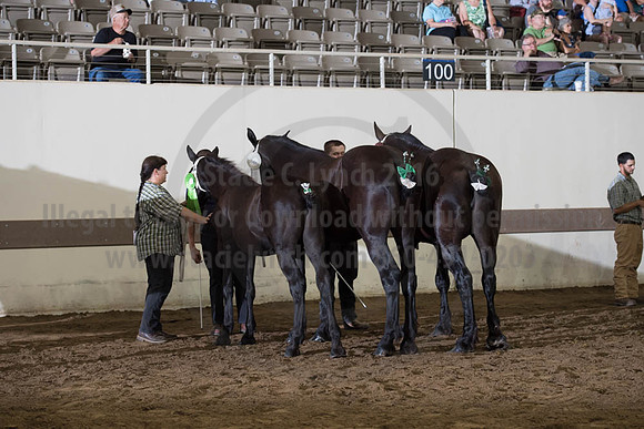 ISF_08142017_SCL_4542