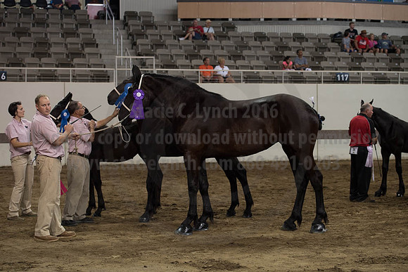 ISF_08142017_SCL_4576