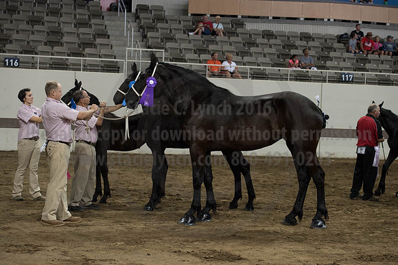 ISF_08142017_SCL_4577