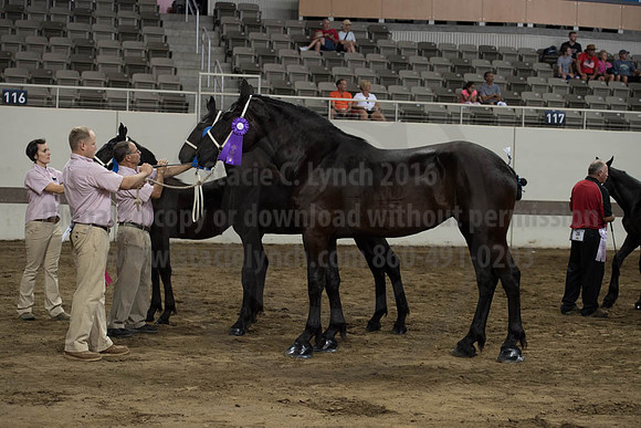 ISF_08142017_SCL_4578