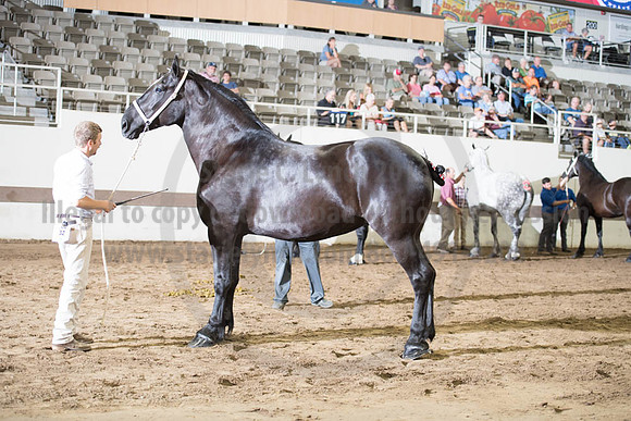 ISF_08142017_SCL_3715