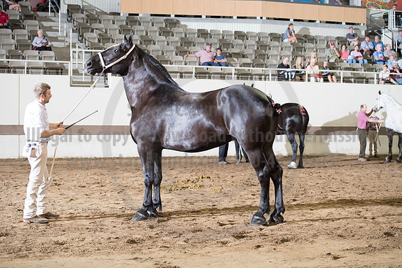 ISF_08142017_SCL_3716