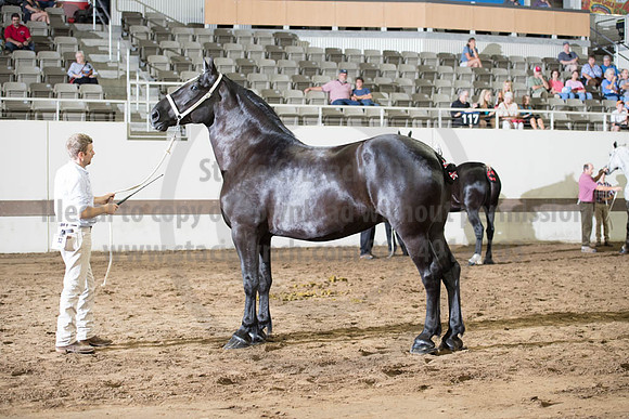ISF_08142017_SCL_3717