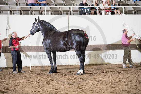 ISF_08142017_SCL_3719