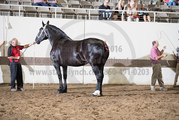 ISF_08142017_SCL_3720