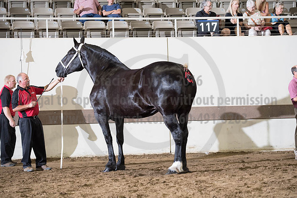 ISF_08142017_SCL_3721