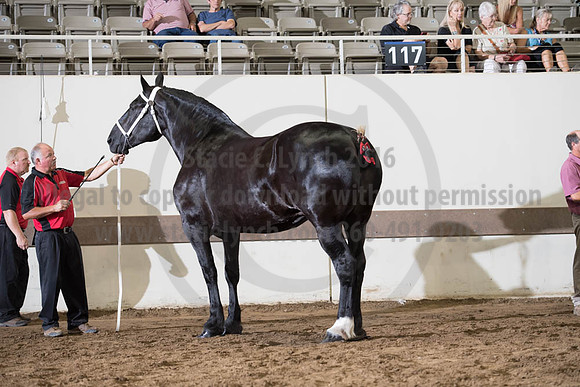 ISF_08142017_SCL_3722