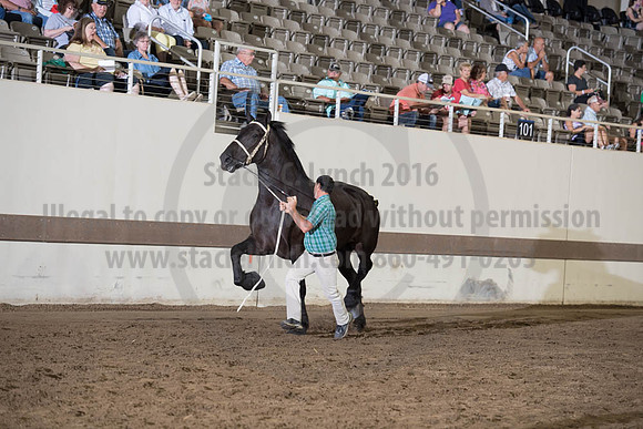 ISF_08142017_SCL_3730