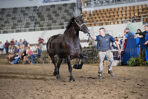 ISF_08142017_SCL_3744