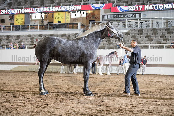 ISF_08142017_SCL_3805
