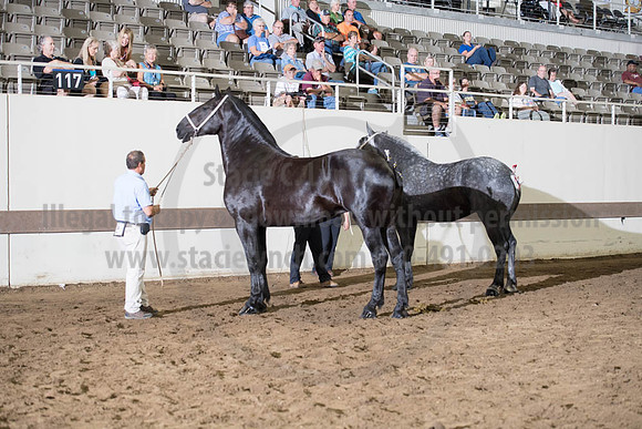 ISF_08142017_SCL_3807