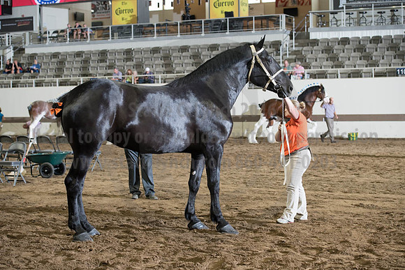 ISF_08142017_SCL_3850