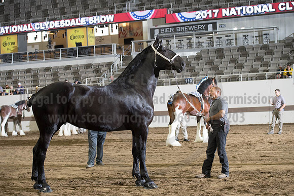 ISF_08142017_SCL_3861