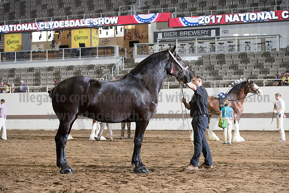 ISF_08142017_SCL_3899
