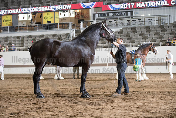 ISF_08142017_SCL_3900