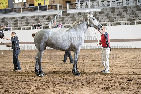 ISF_08142017_SCL_3940
