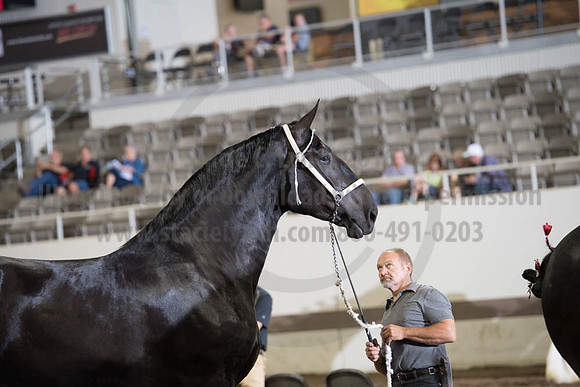 ISF_08142017_SCL_3951