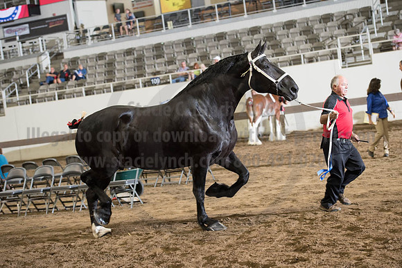 ISF_08142017_SCL_3963
